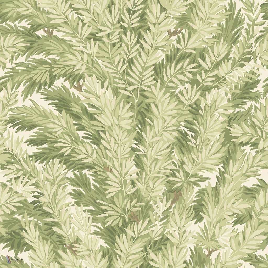 Florencecourt Tapete in Olive van Cole & Son