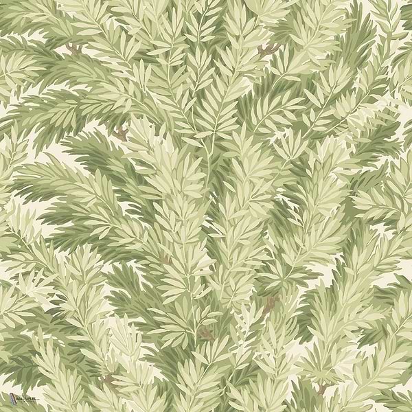 Florencecourt Tapete in Olive van Cole & Son
