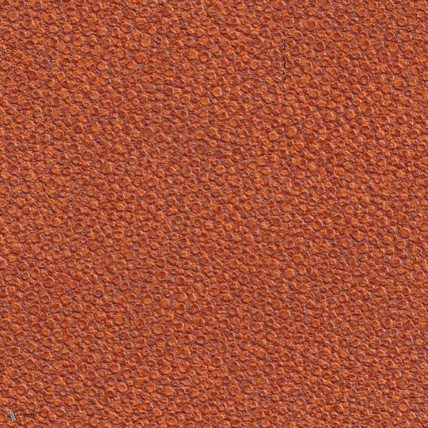Galuchat wallpaper van Elitis