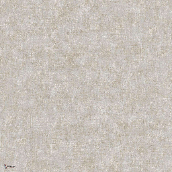 Greisen wallpaper in Grey van Texam