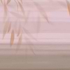 Oriental Breeze Tapete-Tecnografica-Pink B-Fabric Vinyl-M2-Selected Wallpapers-Interiors
