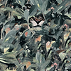 Hidden Puma wallpaper