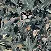 Hidden Puma wallpaper