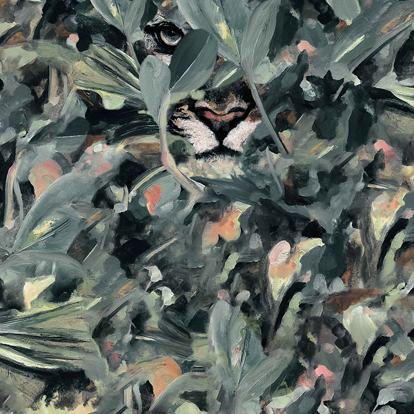 Hidden Puma wallpaper