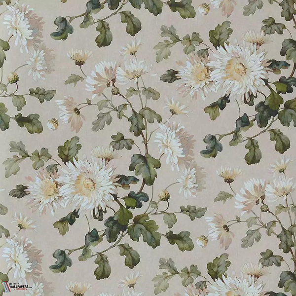 Charlotte wallpaper-1838 wallcoverings-Apricot-Roll-Selected Wallpapers-Interiors