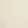 Calade wallpaper