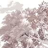 Misty Forest wallpaper-Les Dominotiers-Selected Wallpapers-Interiors