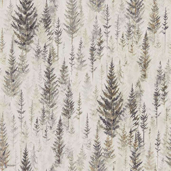 Juniper Pine wallpaper in Elder Bark van Sanderson
