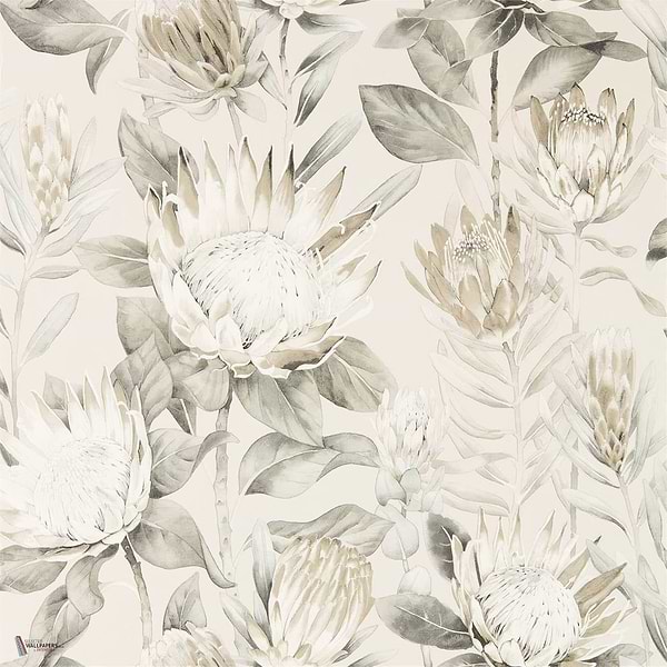King Protea wallpaper in Linen/Mica van Sanderson