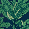 La Havane wallpaper van Nobilis