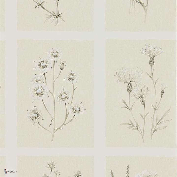 Little Thistles Tapete in Ecru van Sanderson