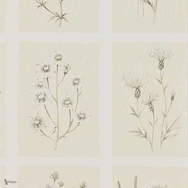 Little Thistles Tapete in Ecru van Sanderson
