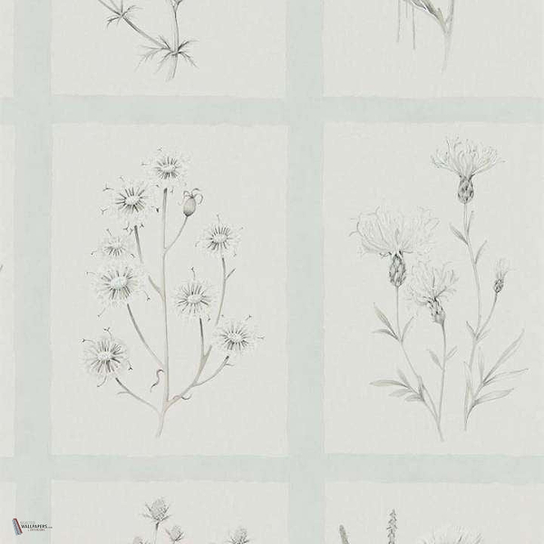 Little Thistles Tapete in Grey/Blue van Sanderson