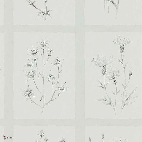 Little Thistles Tapete in Pewter van Sanderson