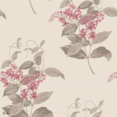 Madras Violet wallpaper in Fuchsia & Linen van Cole & Son