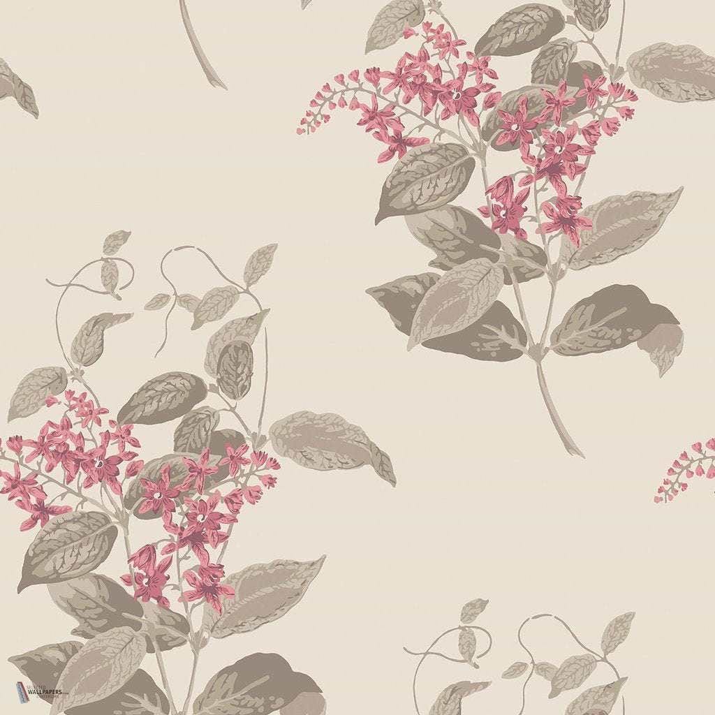 Madras Violet wallpaper in Fuchsia & Linen van Cole & Son
