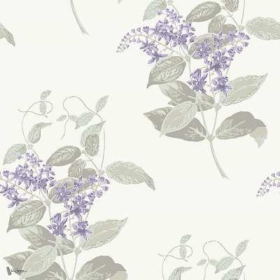 Madras Violet wallpaper in Lilac & Stone van Cole & Son