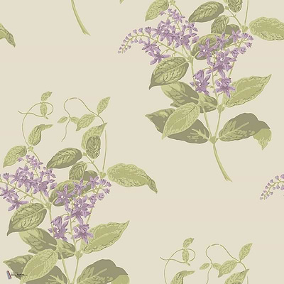 Madras Violet wallpaper in Purple & Olive van Cole & Son