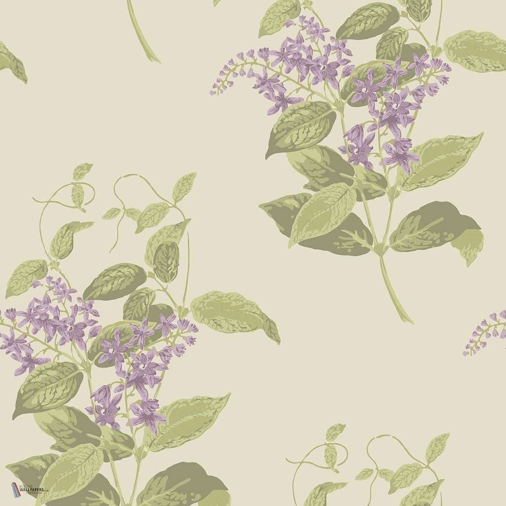 Madras Violet wallpaper in Purple & Olive van Cole & Son