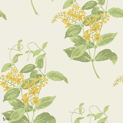 Madras Violet wallpaper in Yellow & Linen van Cole & Son