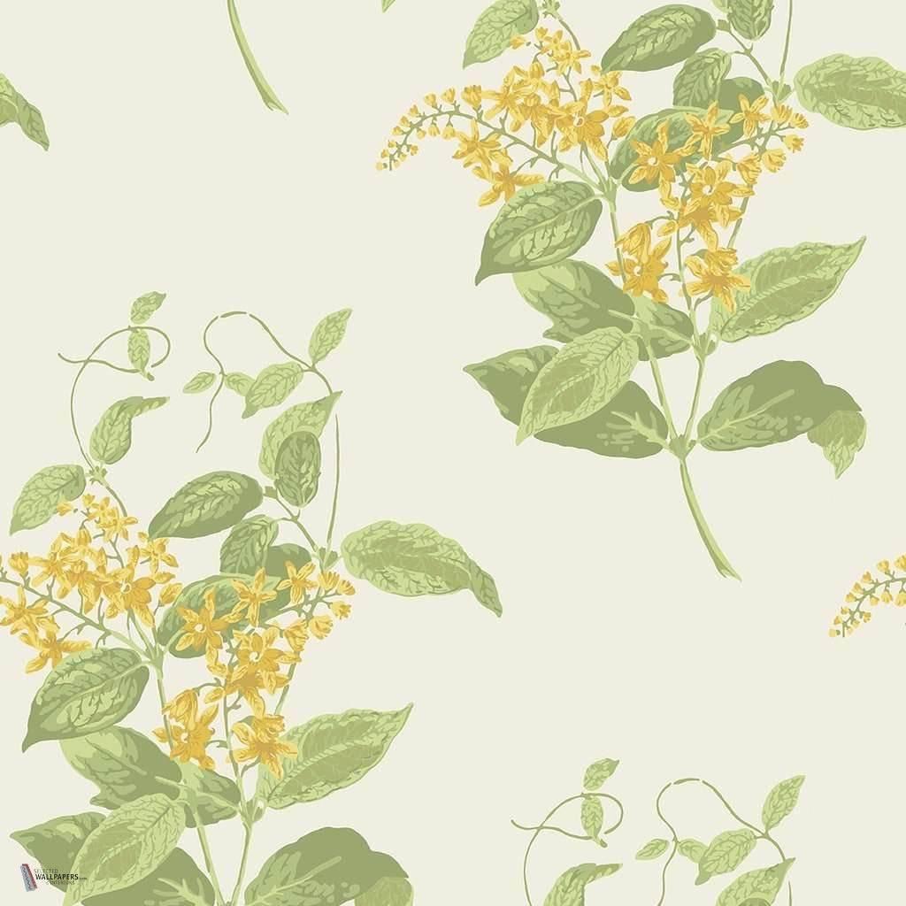 Madras Violet wallpaper in Yellow & Linen van Cole & Son