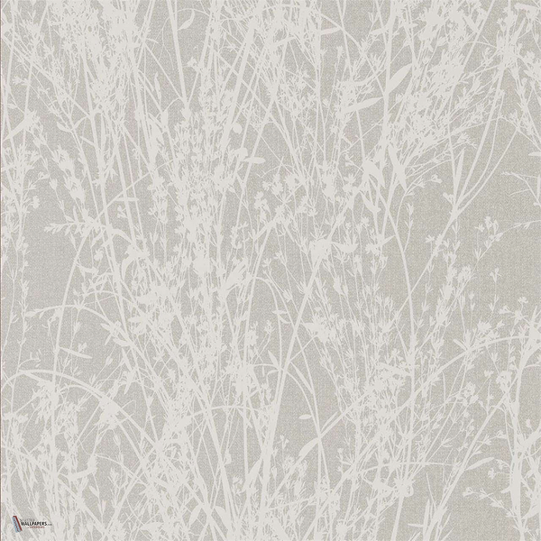 Meadow Canvas wallpaper in White/Grey van Sanderson