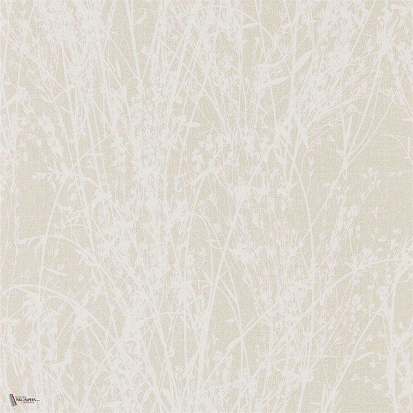 Meadow Canvas wallpaper in White/Parchment van Sanderson