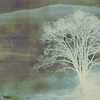 Mist wallpaper in Green van Texam