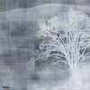 Mist wallpaper in Ice Blue van Texam