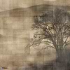 Mist wallpaper in Taupe van Texam