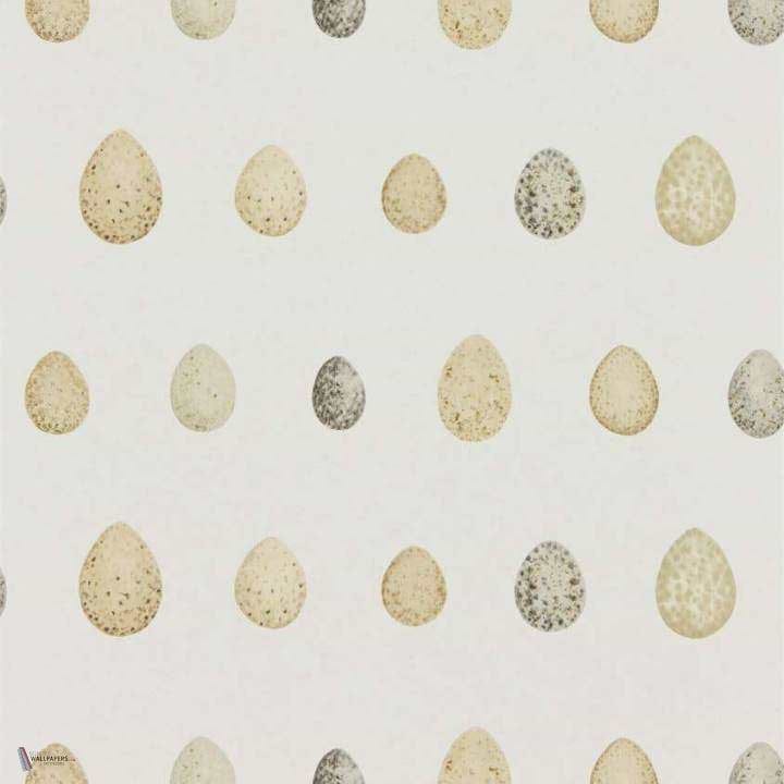 Nest Egg wallpaper in Graphite van Sanderson