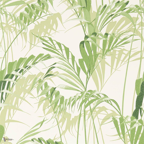 Palm House wallpaper in Green van Sanderson