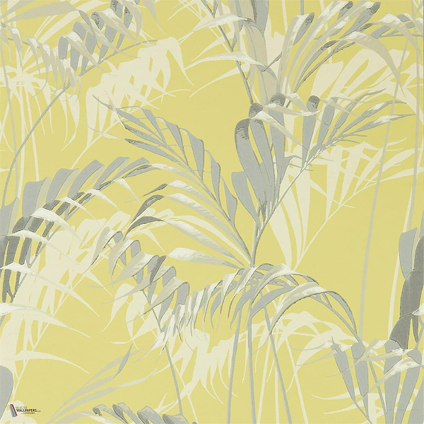 Palm House wallpaper in Grey van Sanderson