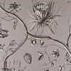 Phaedra wallpaper in Silver van Zoffany