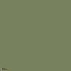Sage Green paint Little Greene 80-Selected-Wallpapers-Interiors