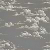 Silvi Clouds Tapete in Taupe Grey van Sanderson