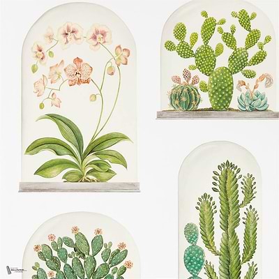 Terrariums wallpaper in Chalk/Green van Sanderson