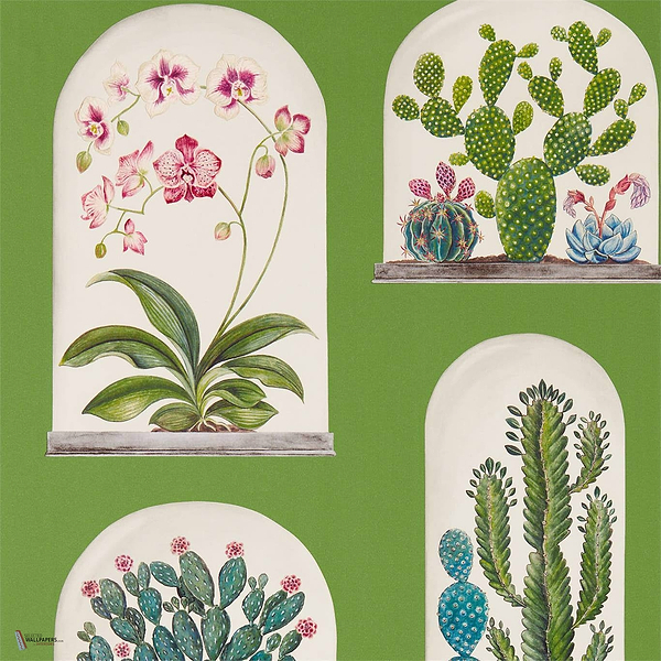 Terrariums wallpaper in Green/Multi van Sanderson