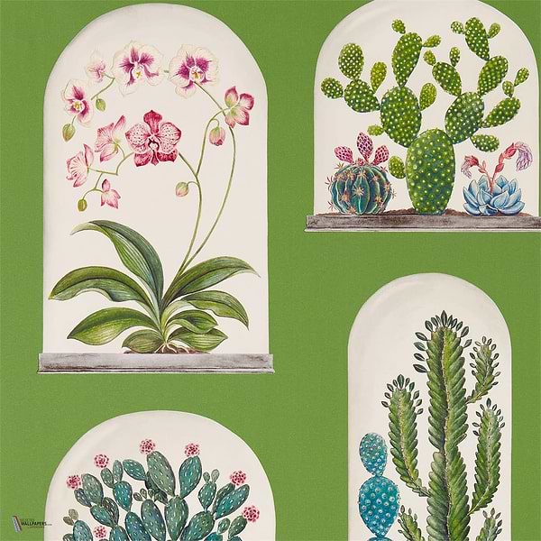 Terrariums wallpaper in Green/Multi van Sanderson