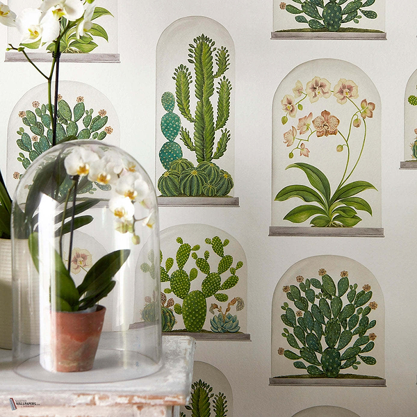 Terrariums wallpaper van Sanderson