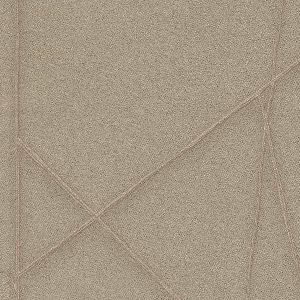 Entanglement Tapete-Texam-Taupe-Meter (M1)-Selected Wallpapers & Interiors