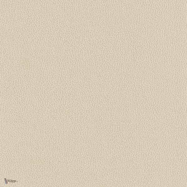 Vinacoustic Dune Tapete in Gris 1 von Texdecor