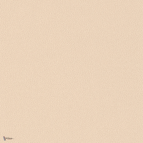 Vinacoustic Dune Tapete in Taupe 1 von Texdecor