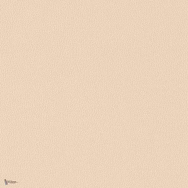 Vinacoustic Dune Tapete in Taupe 1 von Texdecor