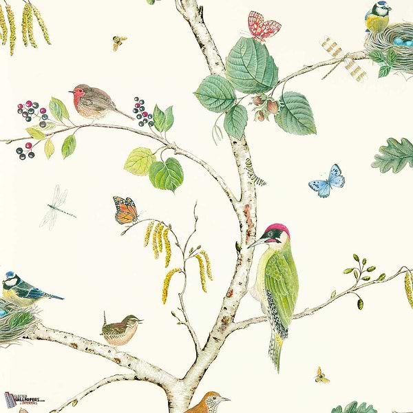 Woodland Chorus wallpaper in Botanical/Multi van Sanderson