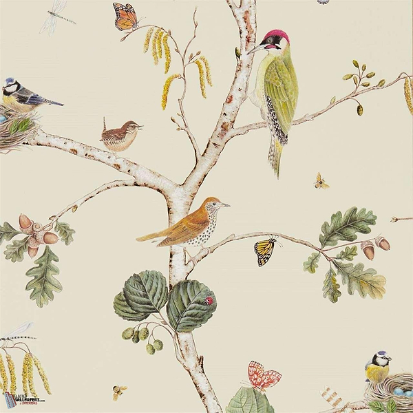 Woodland Chorus wallpaper in Cream/Multi van Sanderson