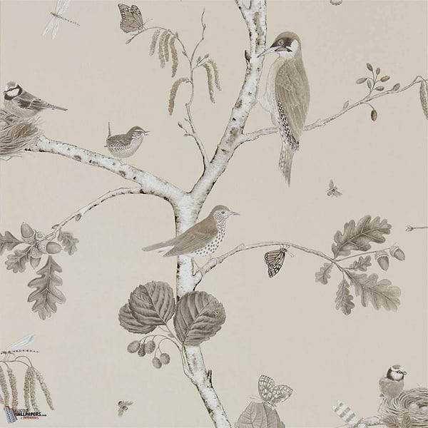 Woodland Chorus wallpaper in Sepia/Neutral van Sanderson