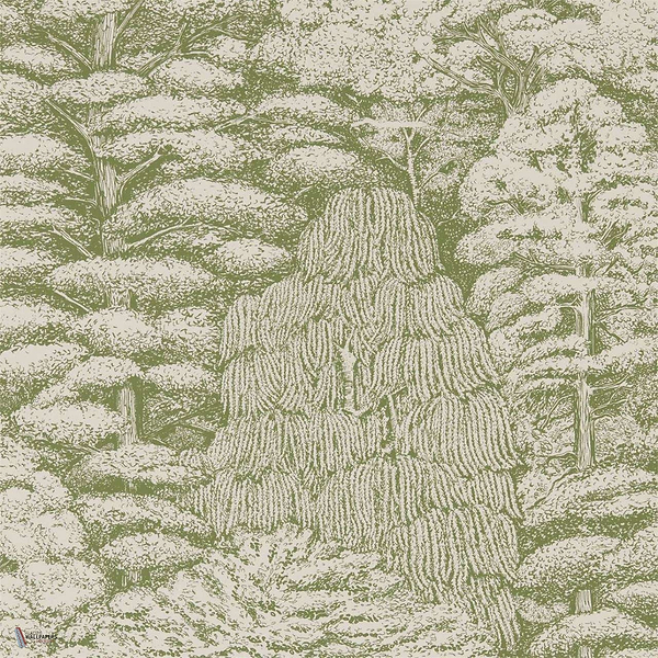 Woodland Toile Tapete in Cream/Green van Sanderson