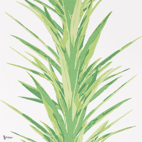 Yucca wallpaper in Green van Sanderson