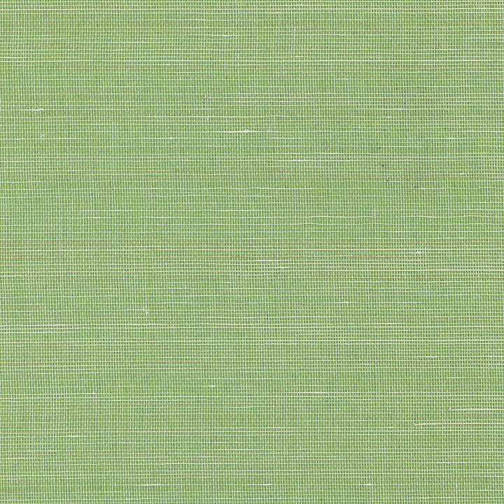 Abaca Natural Palette-Tapete-Greenland-2081-Meter (M1)-N158NA2081-Selected Wallpapers